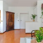 Casa Piuma Al Vaticano E S Pietro